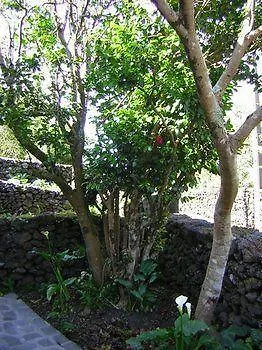 Hotel In Pico